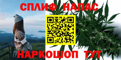 ALPHA-PVP Партизанск